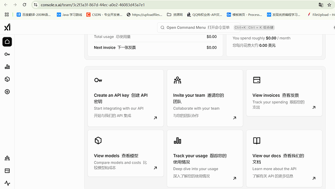 这张截图显示了一个 API 管理平台的仪表板，其中包含使用量、账单、创建 API 密钥、邀请团队、查看发票、查看模型、跟踪使用情况和查看文档等功能模块。 (# # # # # # # # #) (由 AI 生成标题)